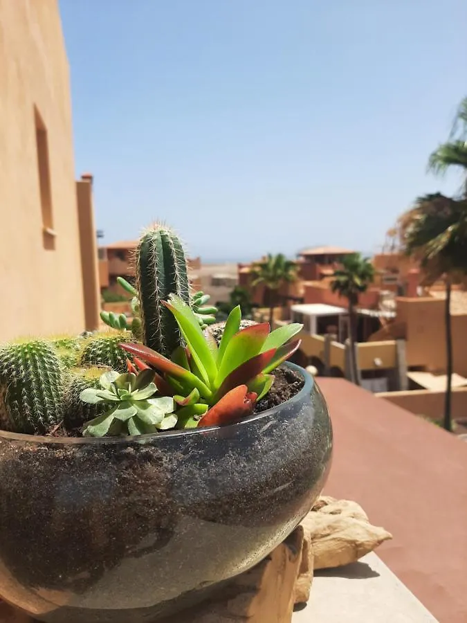 Apartamento Casa Adele Terraza Del Mar Corralejo España